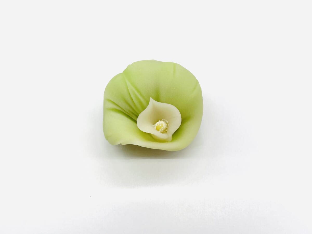 水芭蕉