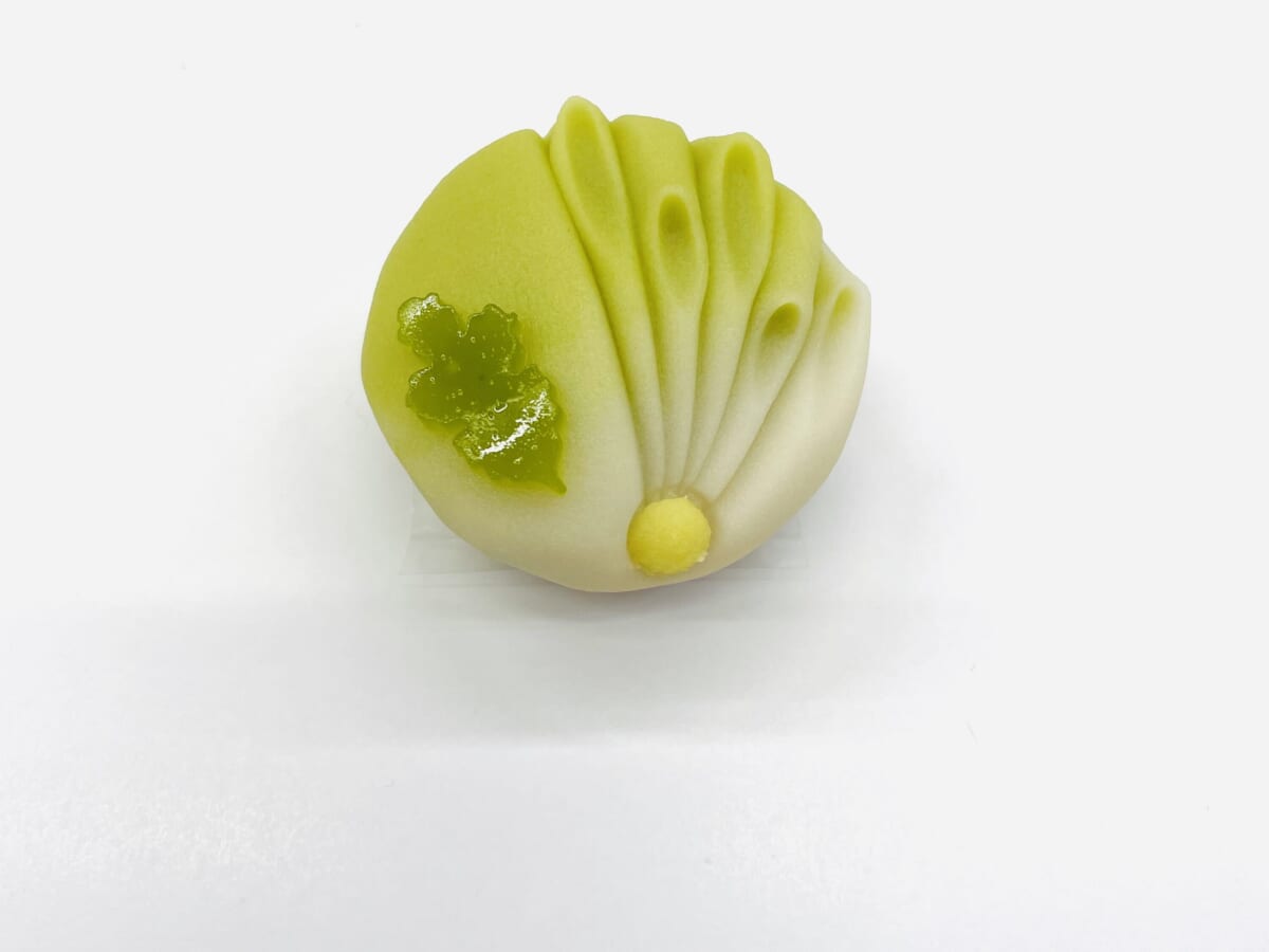 夏菊