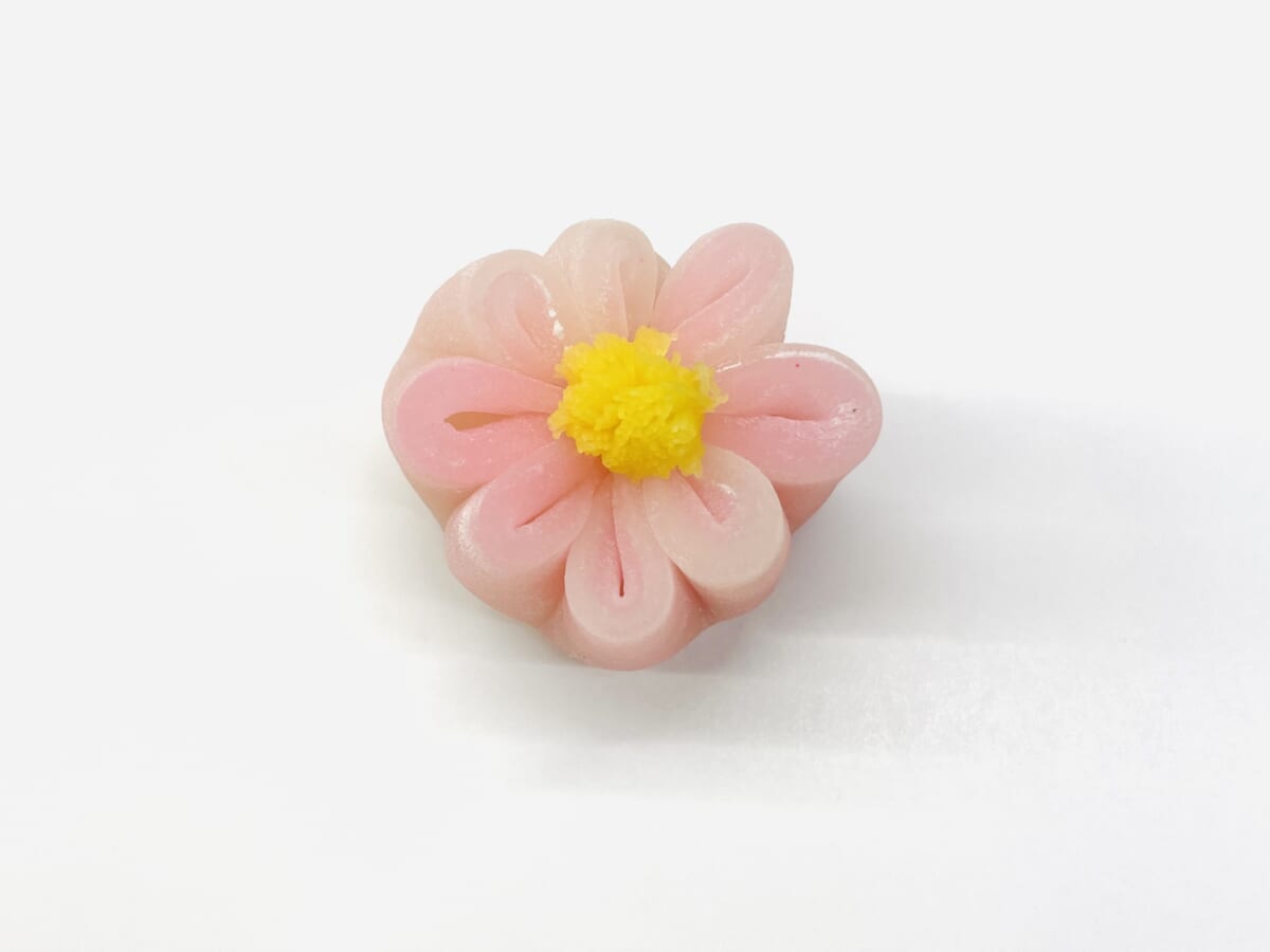 姫菊