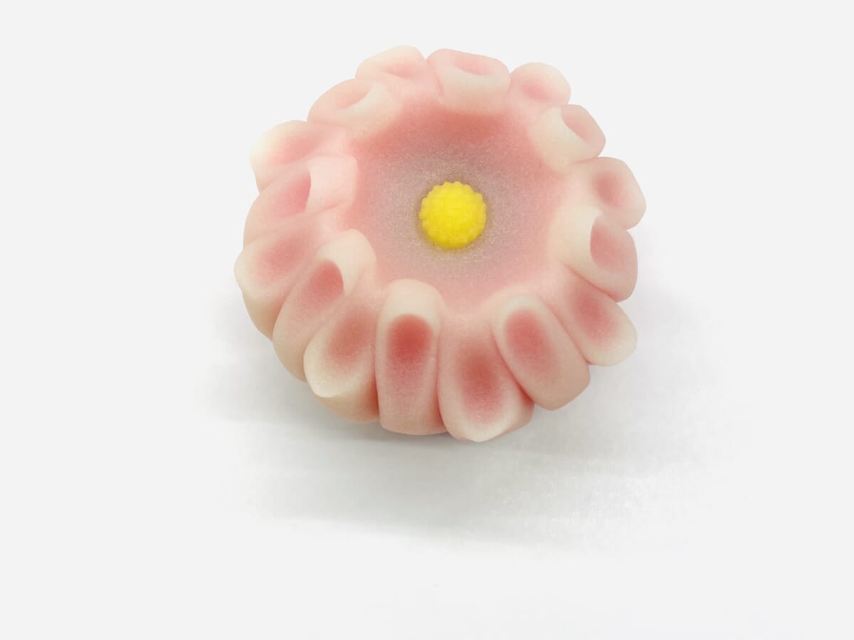 姫菊