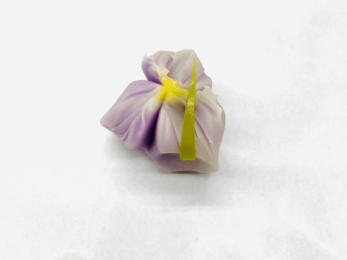 花しょうぶ