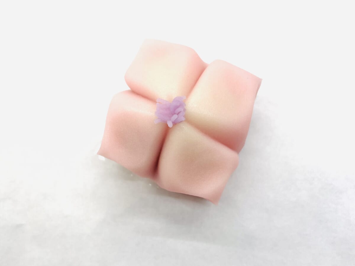 紫陽花