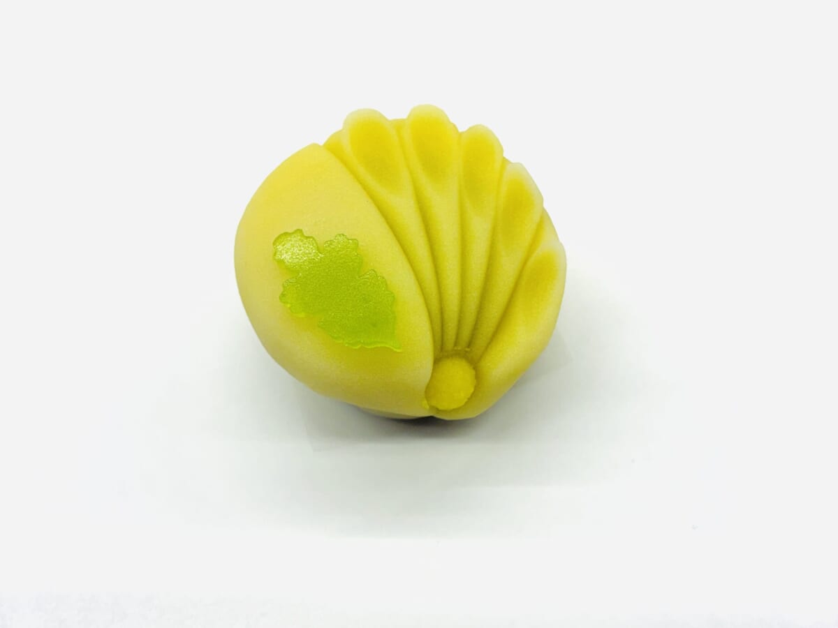 伊勢菊